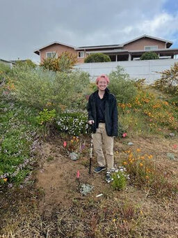 Photo of Kris Rose on a slope in the LAMS outdoor garden. He is standing next to a small Silver Bush Lupine, with larger established plants to the left and in the background.